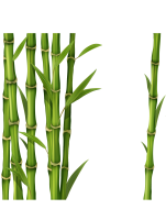 Bamboo PNG
