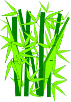 Bambú PNG