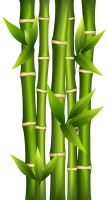 Бамбук PNG