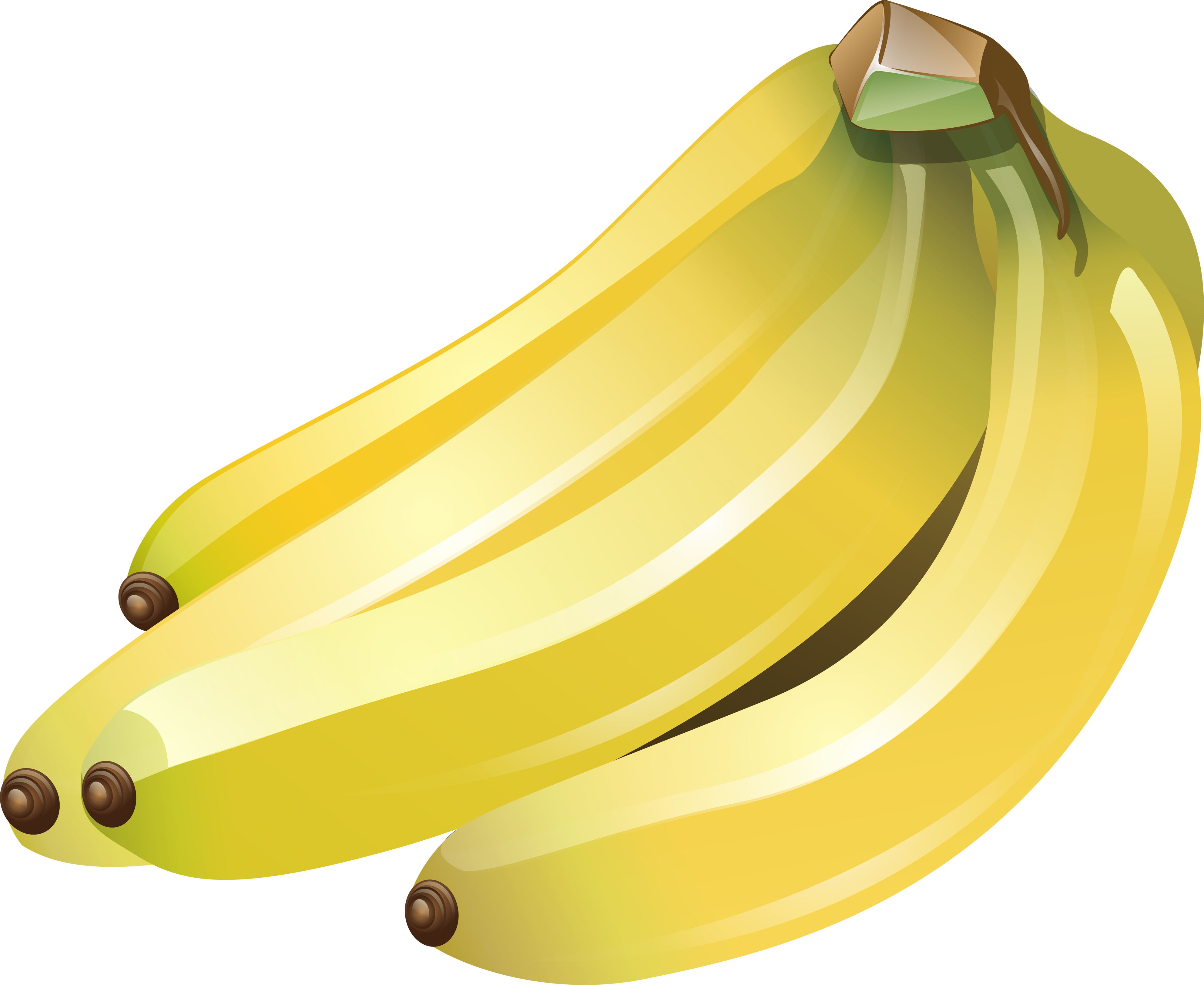 Many bananas PNG image