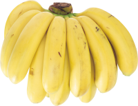 Several bananas PNG image