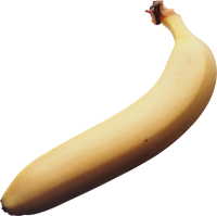 Many bananas PNG picture transparent image download, size: 2517x1767px