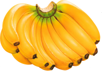 Many bananas PNG picture