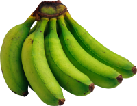 Зеленые бананы PNG фото