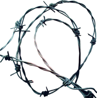 Barbwire PNG