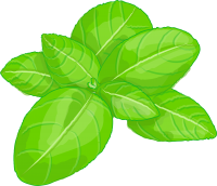 leaves Basil PNG