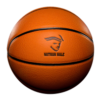 pelota de baloncesto PNG