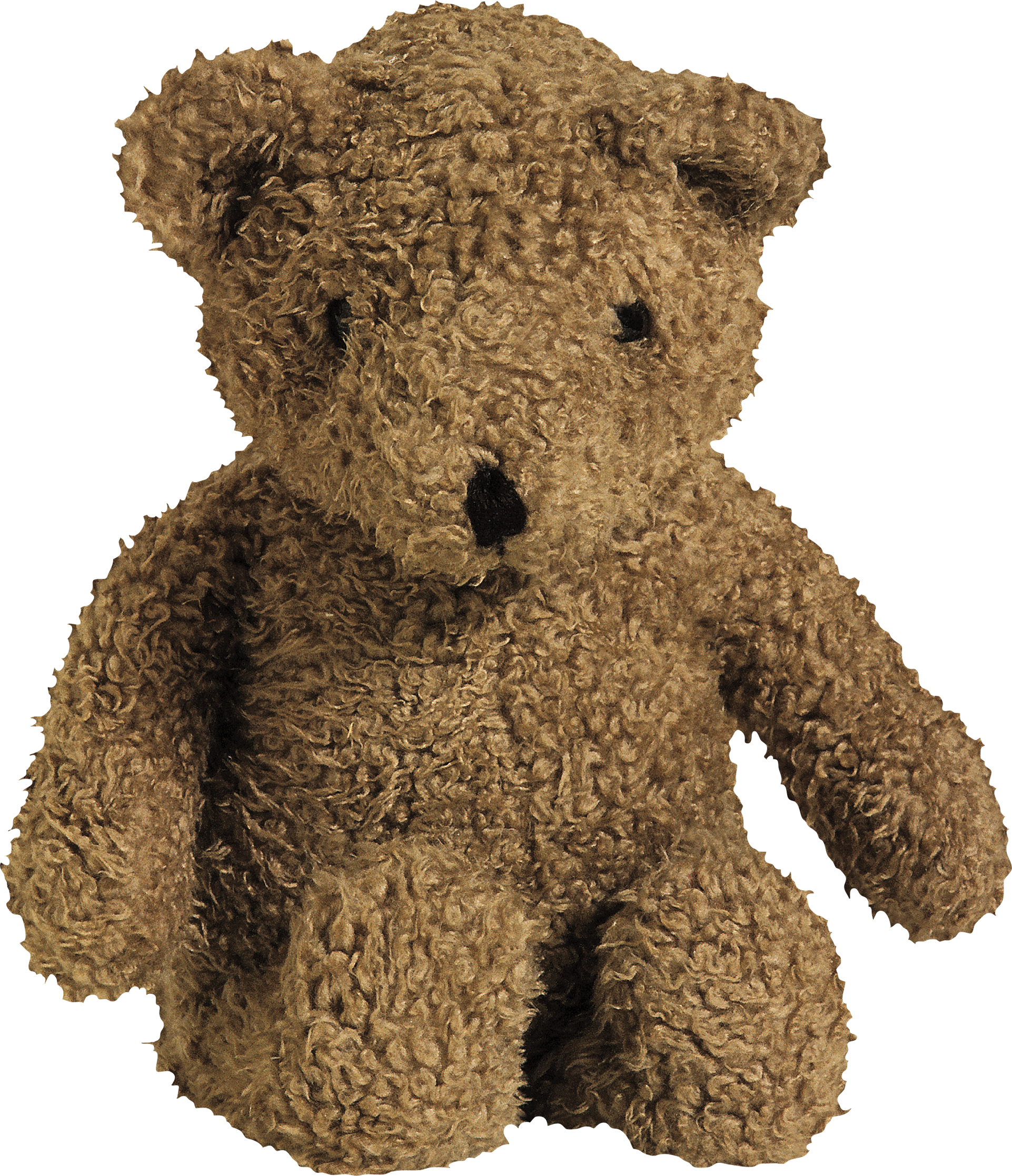 bear PNG transparent image download, size: 4000x3097px