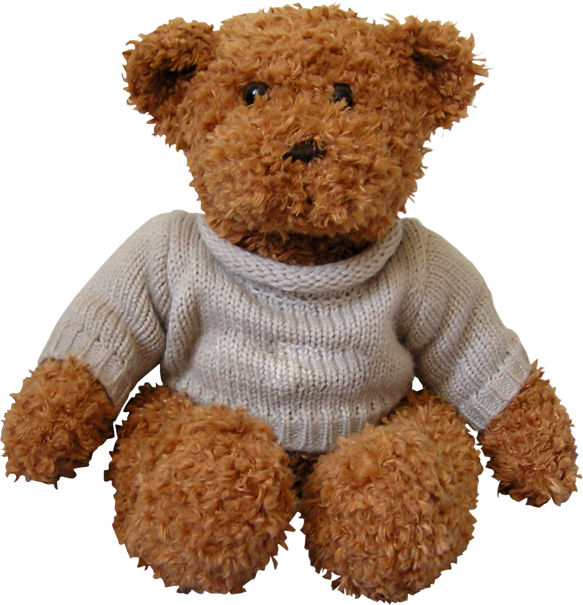 toy bear PNG image