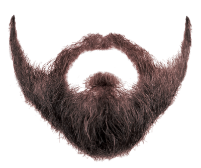 Beard PNG transparent image download, size: 400x335px