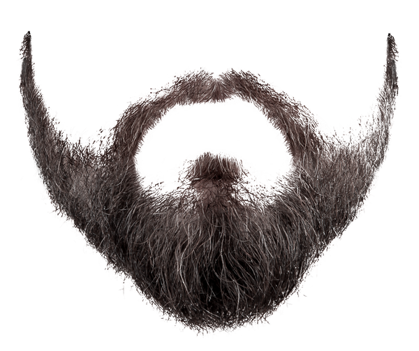 Beard PNG image