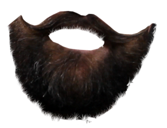 Beard PNG image