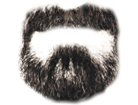 Barba PNG