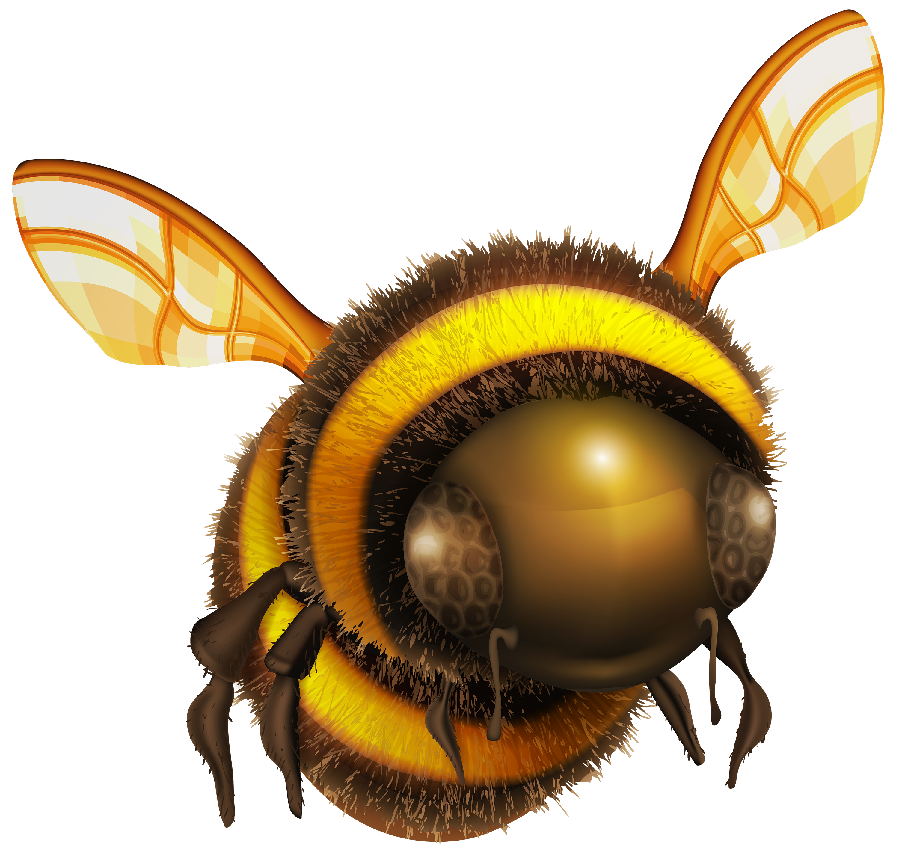 Bee Png