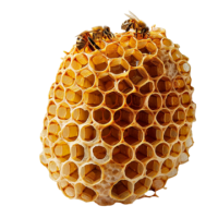 Beehive PNG