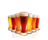 goblets beer PNG image