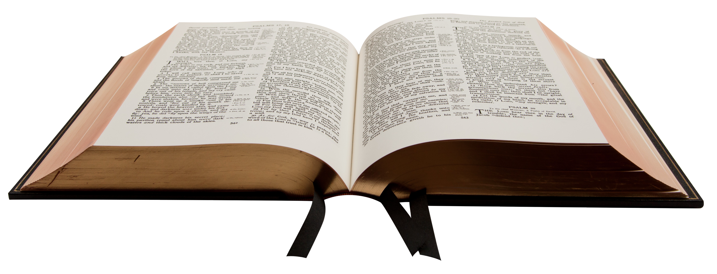 Open Bible Png