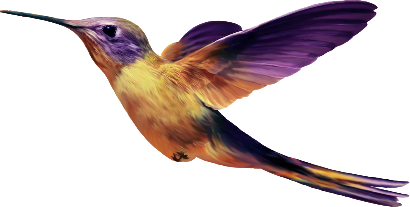 Bird PNG