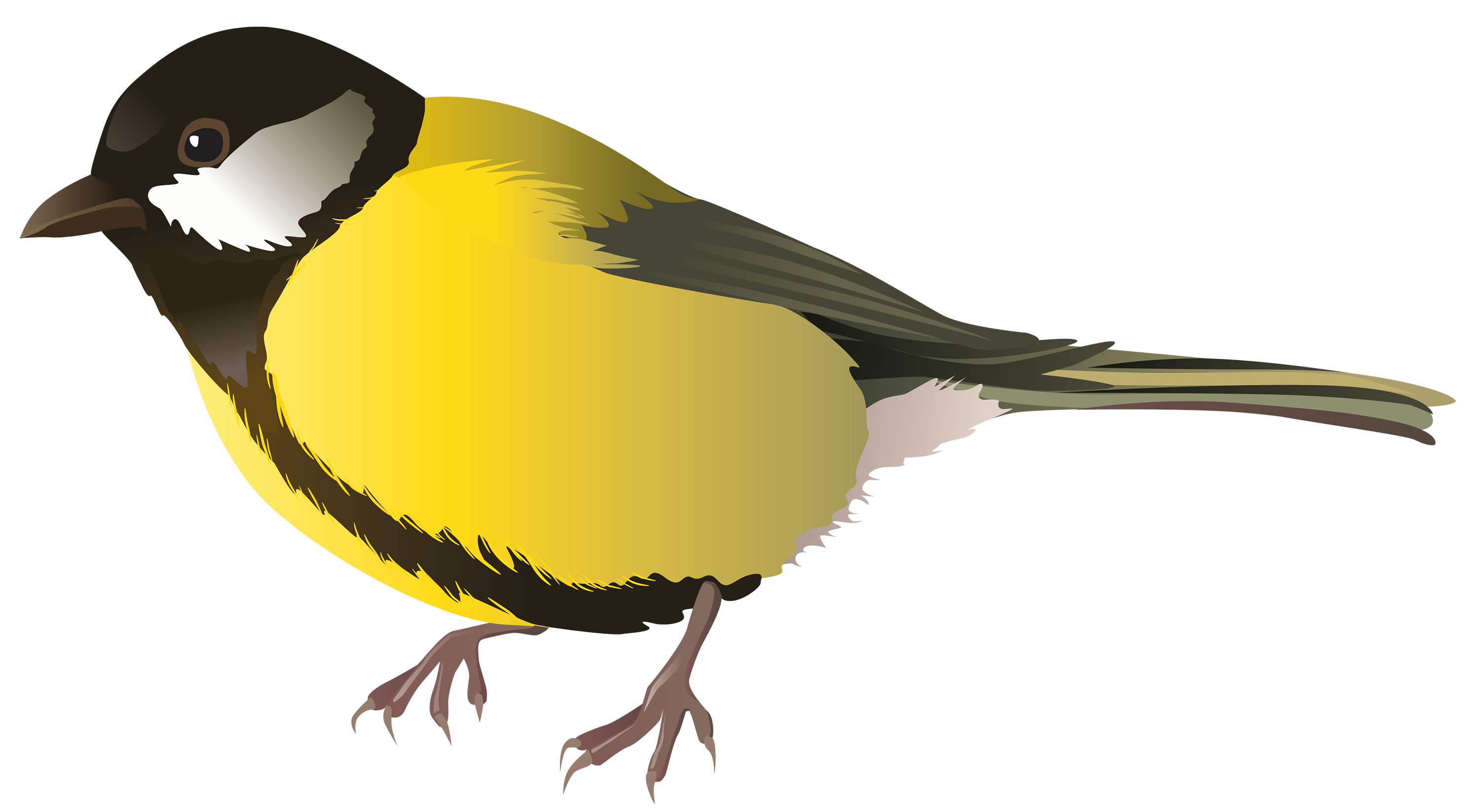 Bird PNG