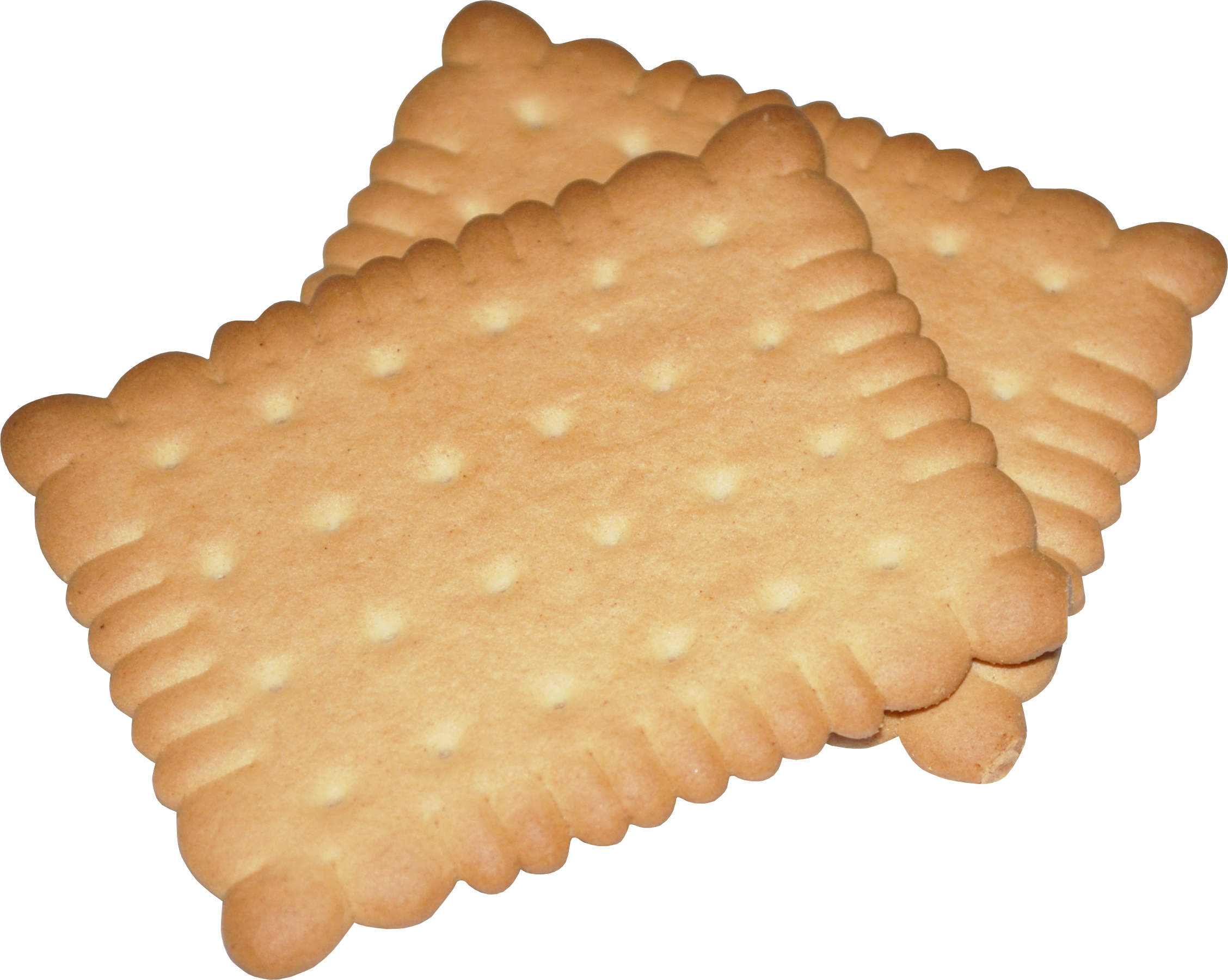 Biscuit Cartoon - Biscuit Cartoon Vector Shutterstock Bite Lightbox Pic ...