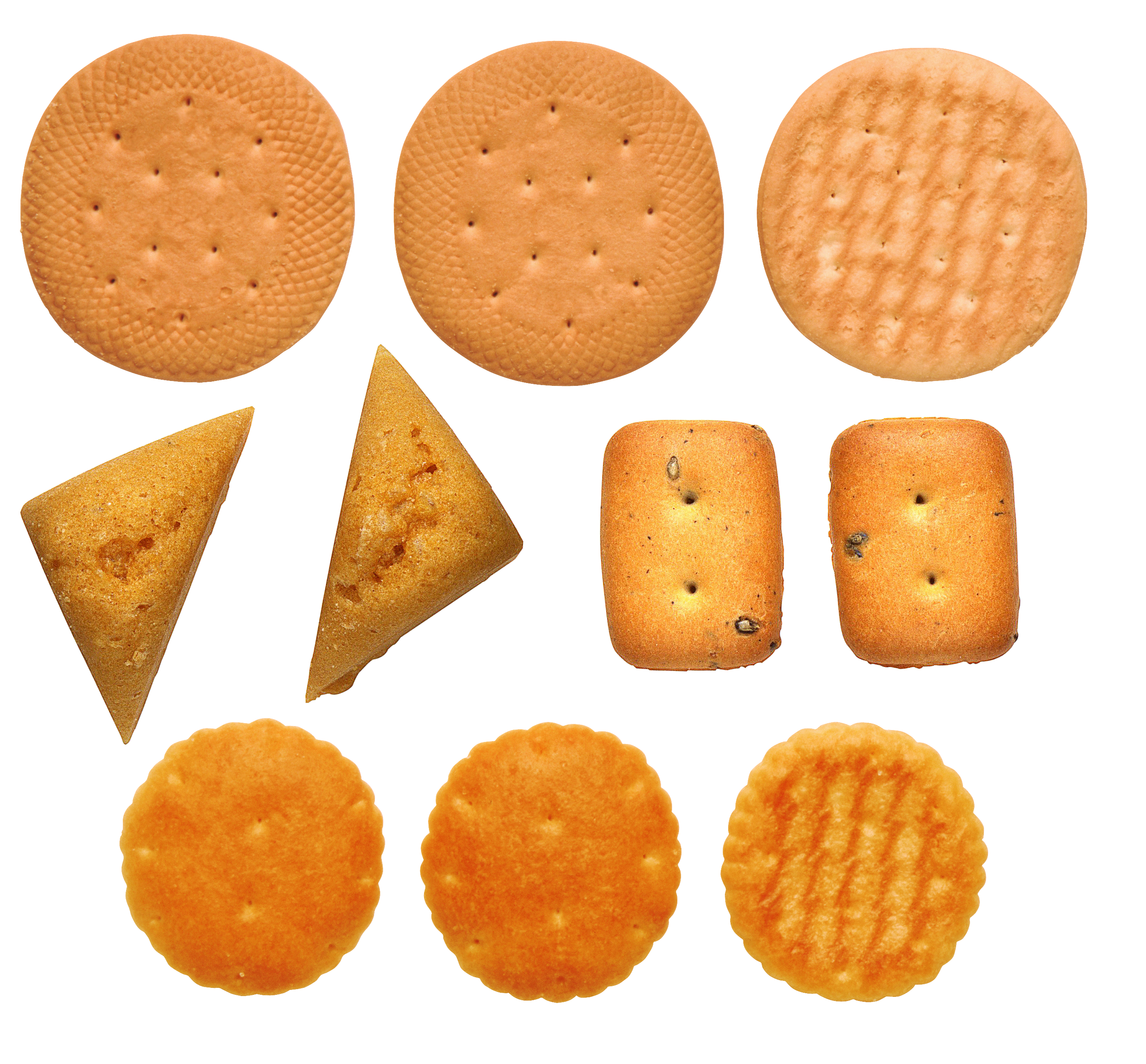 Biscuit