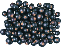 Blackcurrant PNG