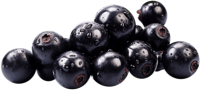 Blackcurrant PNG