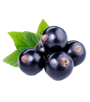Blackcurrant PNG