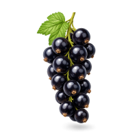 Blackcurrant PNG