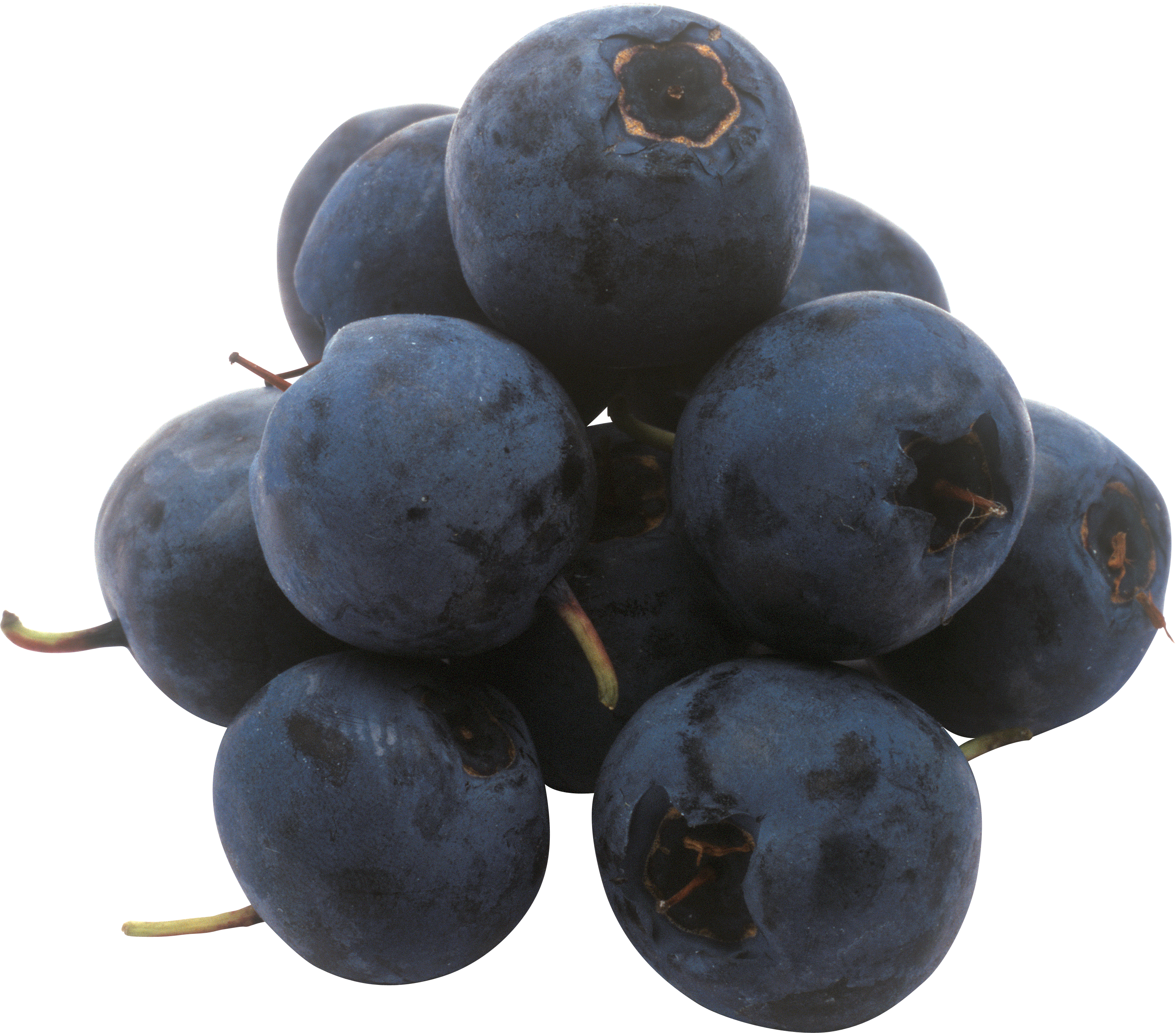 Blueberries PNG
