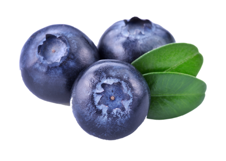 Blueberries PNG images free download