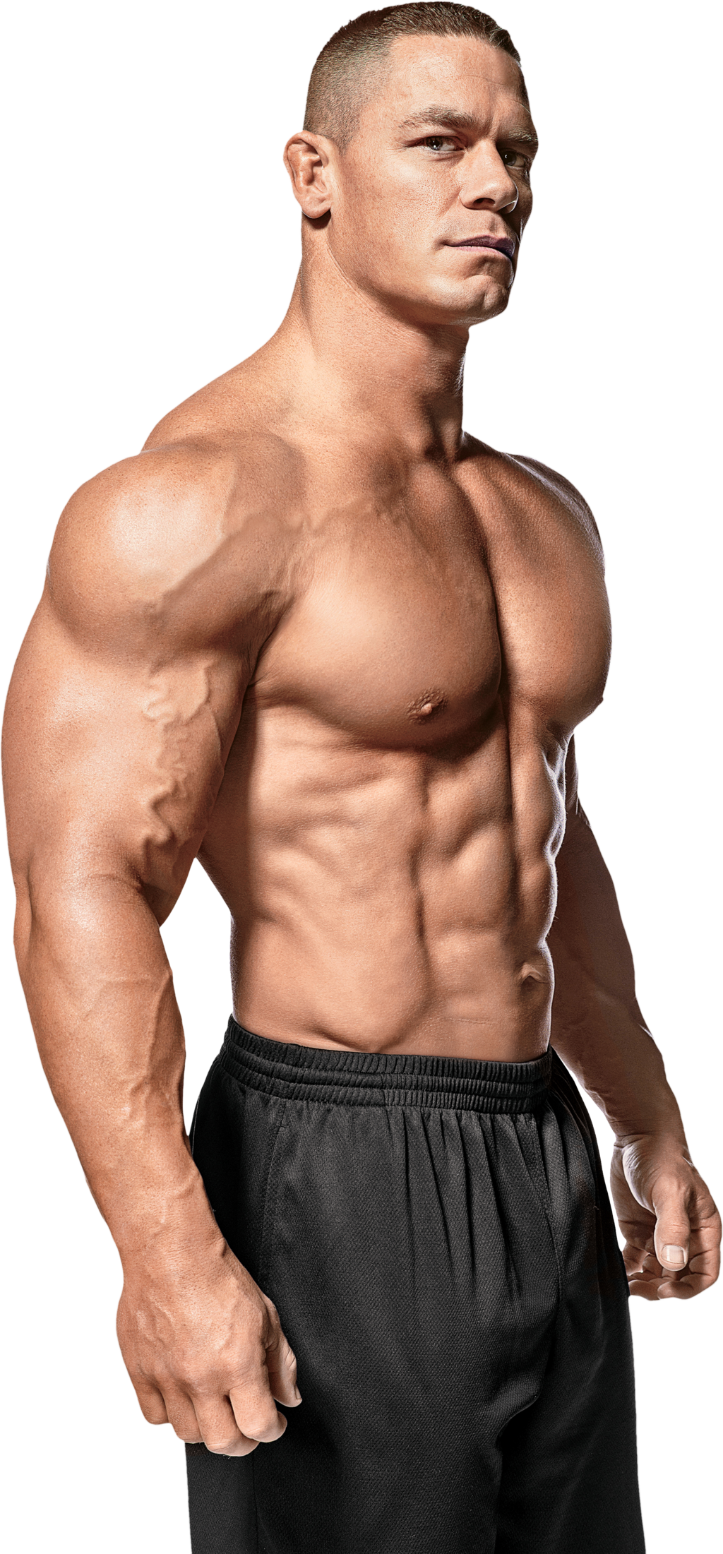 Bodybuilding PNG transparent image download, size 1024x2201px