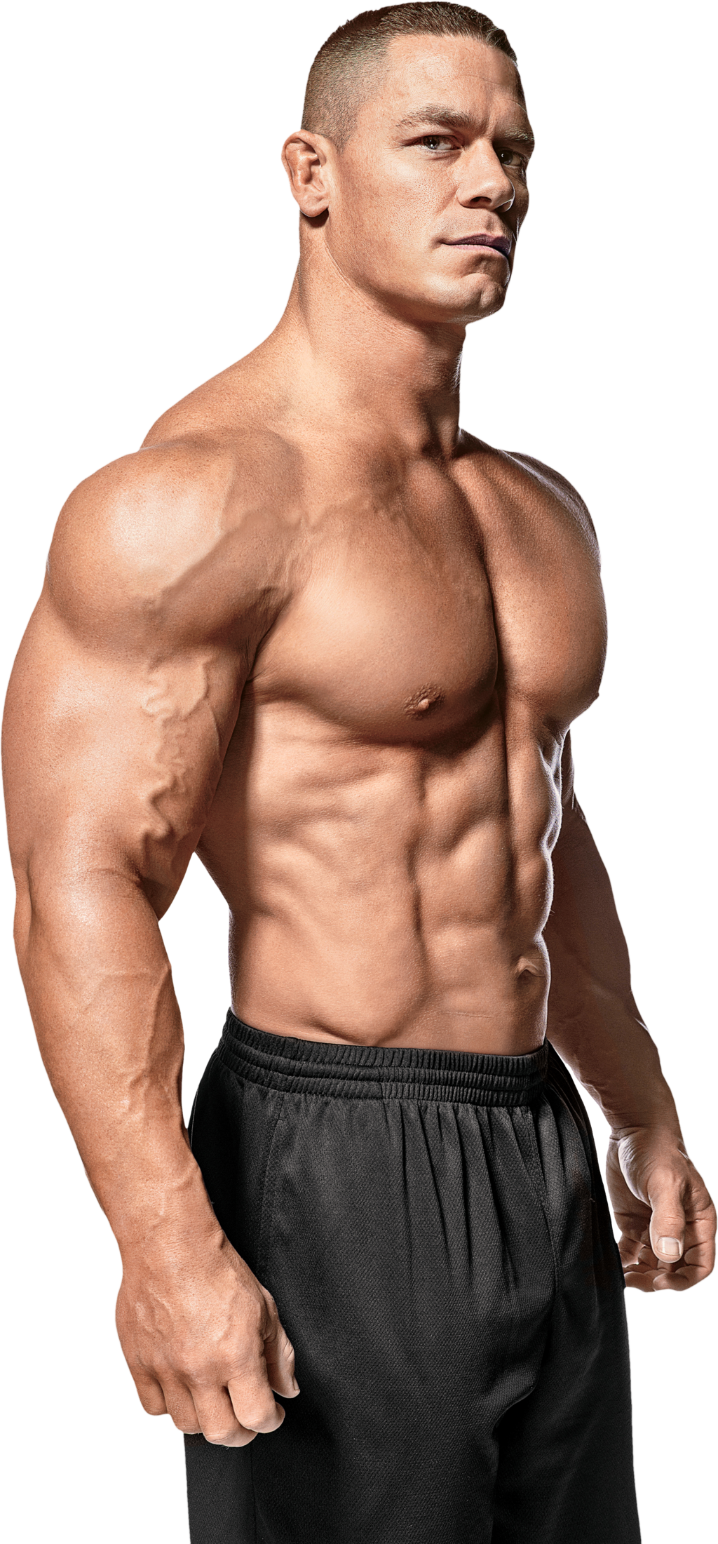 Muscle System Human Body Hd Png Download Kindpng Images