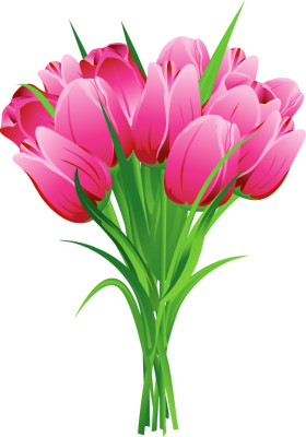 Bouquet flowers PNG