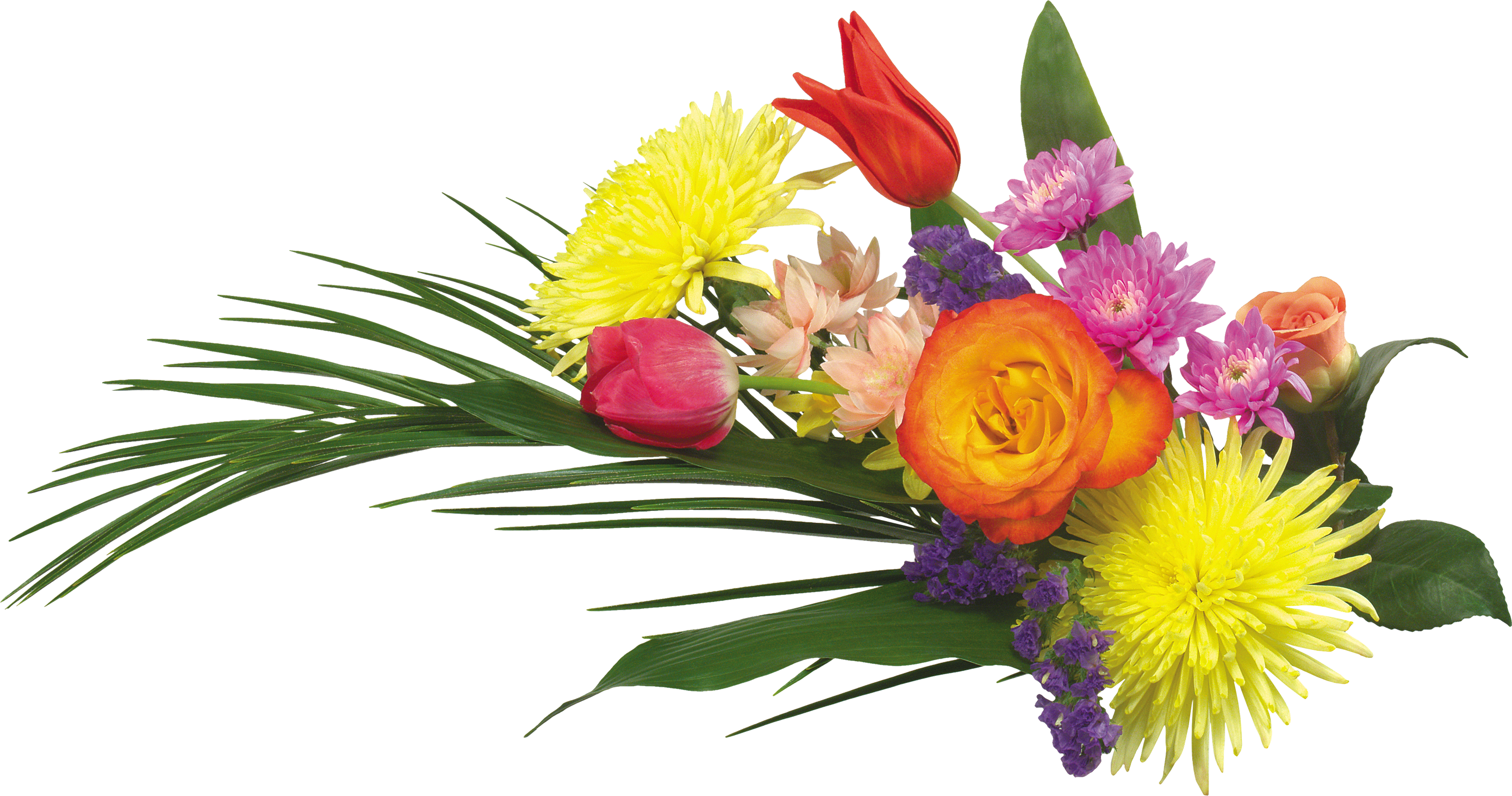 44+ Transparent Background Png Format Flowers Png Pics