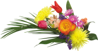 Букет цветов PNG