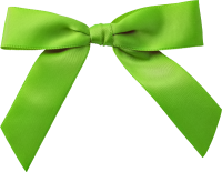 Green bow PNG image