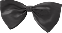 Bow tie PNG