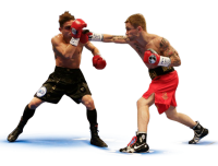 Boxing men PNG image