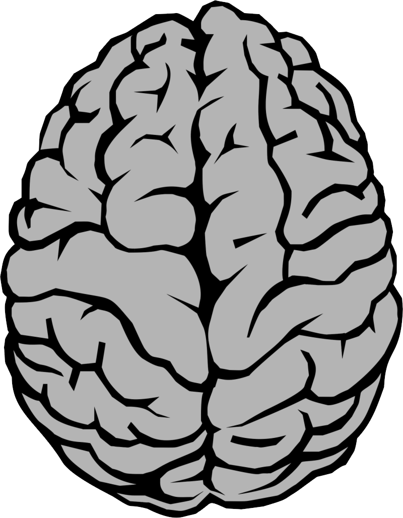 Brain PNG