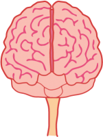 Cerebro PNG