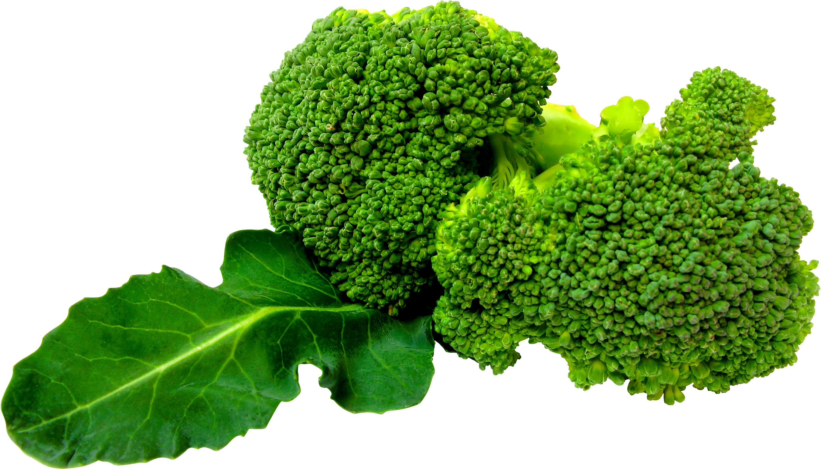 Green Broccoli PNG image