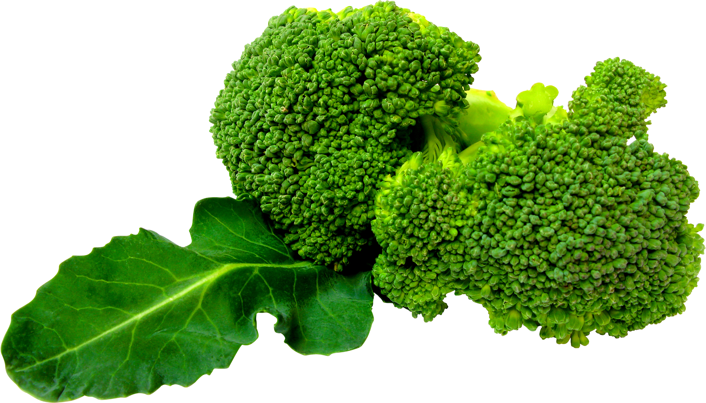 Imagens de Broccoli PNG