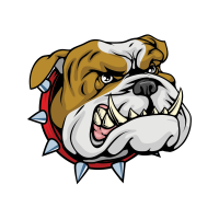 Bulldog PNG head picture