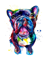 Bulldog PNG