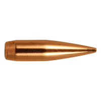Bullets PNG image