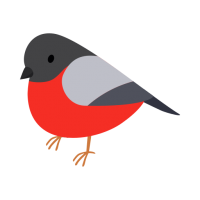 Bullfinch bird PNG