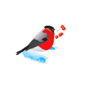 Bullfinch bird PNG