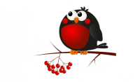 Bullfinch bird PNG