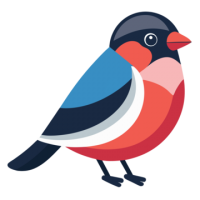 Bullfinch bird PNG